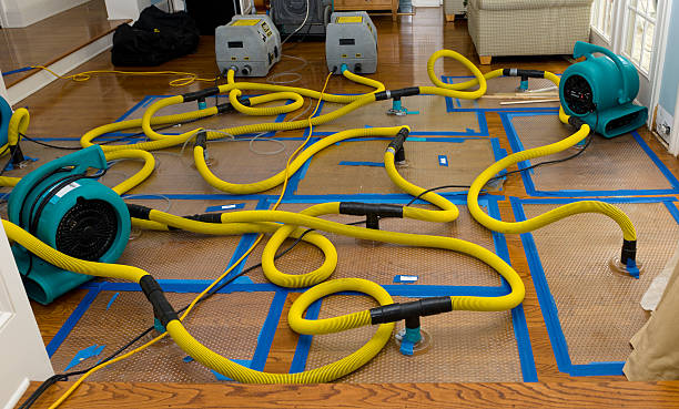 Professional Water Damage Repair technician working in Meridianville, AL