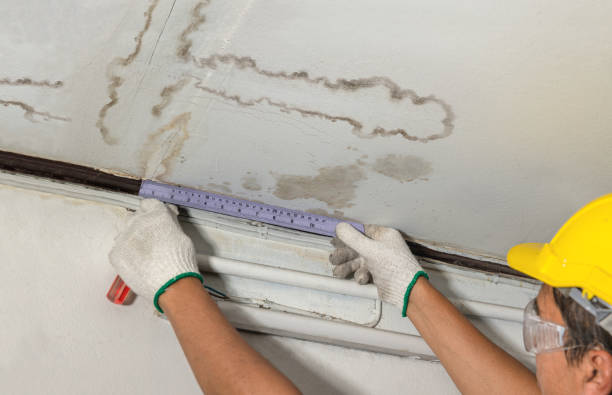 Affordable Water Damage Repair solutions in Meridianville, AL